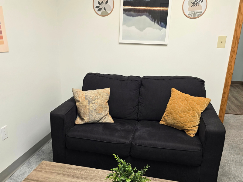 therapy office with a dark loveseat with two gold toned pillows on them and artwork on the wall